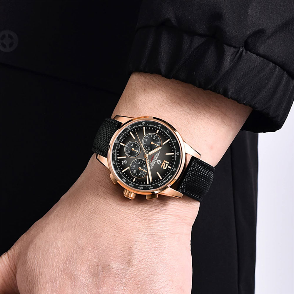 PAGANI DESIGN New Mens Watch 4 - Luxury Watch Logo review and price